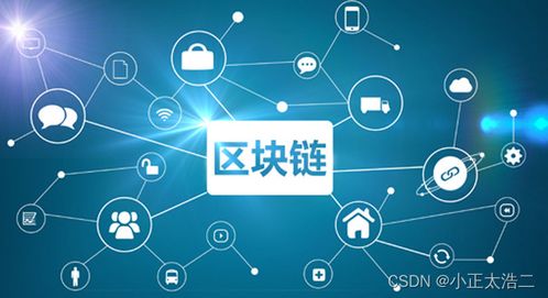 區(qū)塊鏈技術在軟件開發(fā)中的應用與前瞻