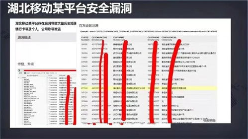 守護數(shù)字身份 網(wǎng)絡(luò)安全周下，應(yīng)對個人信息泄露與安全軟件的選擇之道